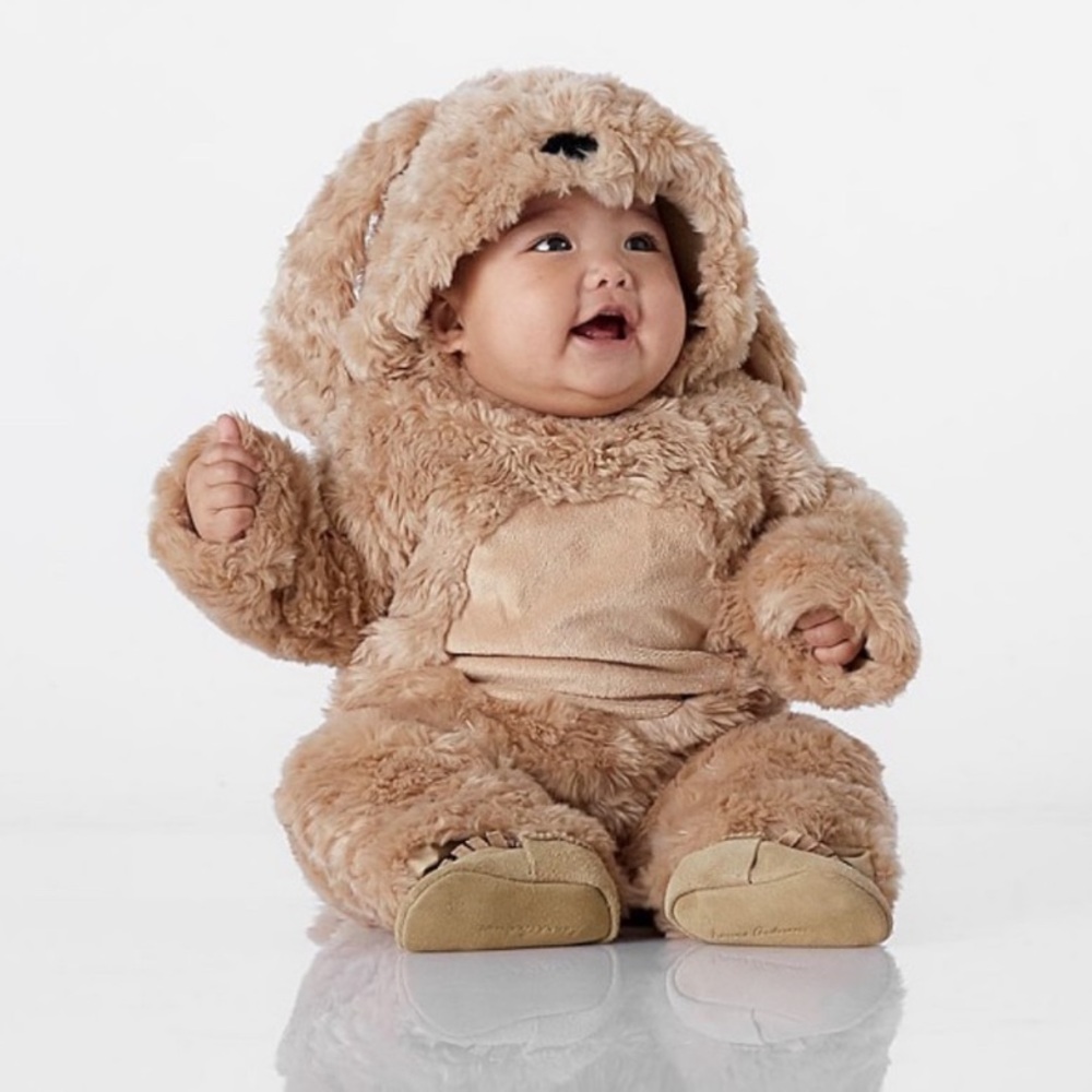 Pottery Barn Kids Baby Dog Costume Golden Retriever Onesie Size 0-6m